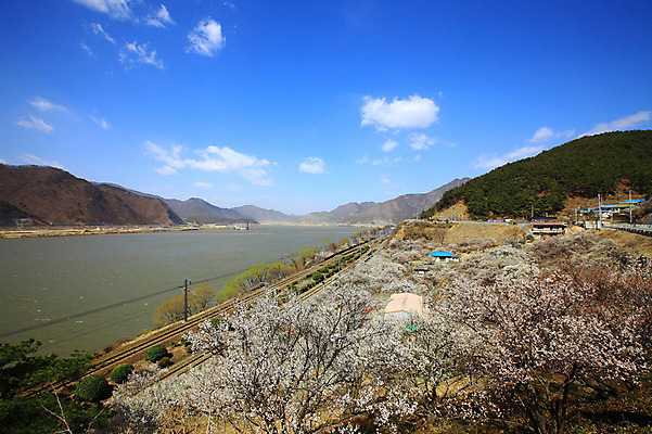 포토 JPG 주간 식물 구름 건축물 계절 자연 하늘 산 주택 한국 공사 풍경 사람없음 야외 건물 강 마을 봄풍경 봄 기찻길 건설현장 중장비 뭉게구름 포크레인 경상남도 매화 매화나무 공사중 매화마을 매화축제 순매원 철도의날 국내포토 자연요소 나무 건축 꽃 아시아 건설업 산업장비 경상도 생태계 광양 꽃축제 파일형식 법정기념일 구름_자연