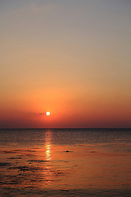 포토 JPG 주간 물결 바다 자연 하늘 한국 물그림자 풍경 해변 사람없음 야외 햇빛 태양 일출 노을 황혼 일몰 경주 경상북도 감포 송대말 국내포토 자연요소 아시아 그림자 경주_경상북도 경상도 생태계 파일형식
