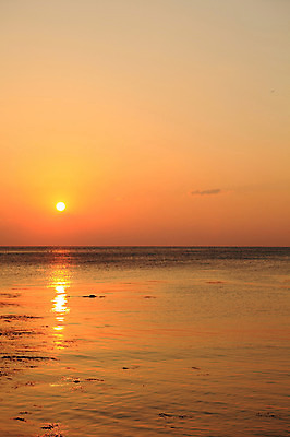 포토 JPG 주간 물결 바다 자연 하늘 한국 물그림자 풍경 해변 사람없음 야외 햇빛 태양 일출 노을 황혼 일몰 경주 경상북도 감포 송대말 국내포토 자연요소 아시아 그림자 경주_경상북도 경상도 생태계 파일형식