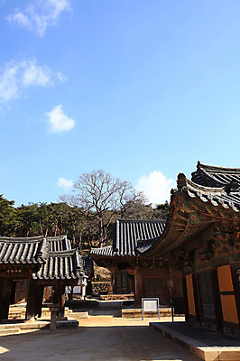 포토 JPG 주간 나무 식물 구름 한국문화 한국전통 전통 시설물 건축물 종교 전통문화 고건축 불교 종교건축 자연 종교시설 하늘 한국 기와 그림자 풍경 사람없음 야외 건물 사찰 사원 경상도 경상남도 양산 기와지붕 통도사 국내포토 양산시 자연요소 동양문화 건축 아시아 문화 비즈니스 지붕 시설 생태계 파일형식 양산_지역