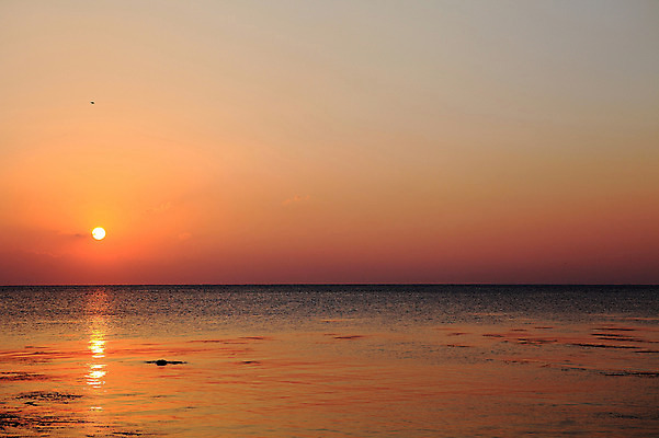 포토 JPG 주간 물결 바다 자연 하늘 한국 물그림자 풍경 해변 사람없음 야외 햇빛 태양 일출 노을 황혼 일몰 경주 경상북도 감포 송대말 국내포토 자연요소 아시아 그림자 경주_경상북도 경상도 생태계 파일형식