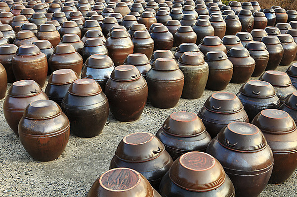 포토 JPG 주간 한국문화 한국전통 전통 그릇 선 줄 생활용품 다수 백그라운드 한국 풍경 사람없음 야외 여러개 시골 항아리 용기 경상도 경상남도 보관함 양산 토기 저장고 서운암 국내포토 자연요소 동양문화 식기 아시아 도자기 용기_그릇 오브젝트 통도사 파일형식