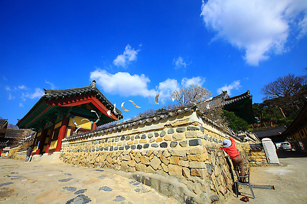 포토 JPG 주간 나무 식물 구름 한국문화 한국전통 전통 시설물 건축물 계절 종교 전통문화 육상교통 신발 고건축 불교 의자 종교건축 자동차 자연 종교시설 하늘 한국 돌담 기와 사람 풍경 야외 두명 건물 담장 사진촬영 봄풍경 봄 사찰 사원 경상도 경상남도 매화 양산 기와지붕 매화나무 부적 통도사 국내포토 양산시 자연요소 동양문화 건축 꽃 아시아 문화 교통수단 가구 비즈니스 지붕 촬영 돌_바위 시설 생태계 파일형식 양산_지역