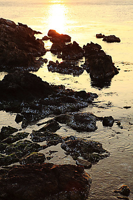 포토 JPG 주간 실루엣 물결 바다 자연 하늘 한국 물그림자 풍경 해변 사람없음 야외 햇빛 태양 일출 노을 황혼 일몰 돌_바위 바위 경주 경상북도 감포 송대말 국내포토 자연요소 아시아 촬영기법 그림자 경주_경상북도 경상도 생태계 파일형식