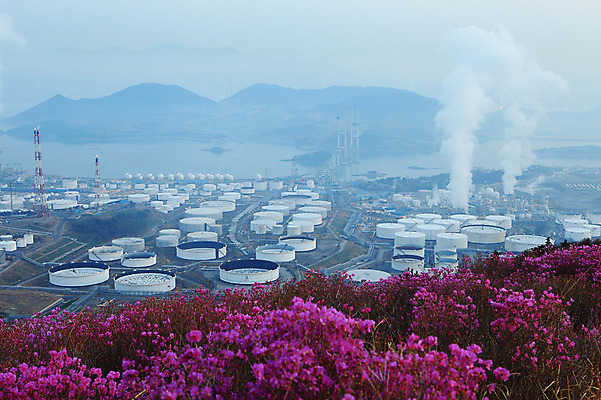 포토 JPG 주간 나무 식물 계절 꽃 바다 봄꽃 공장 공업 자연 산 한국 굴뚝 풍경 사람없음 야외 건물 봄풍경 봄 안개 풀 연기 전라남도 산업시설 탱크 철쭉 저장고 산업단지 여수 공업단지 여수산업단지 원통형 철쭉제 철쭉축제 국내포토 자연요소 도형 건축물 산업 아시아 날씨 축제 전라도 생태계 꽃축제 파일형식