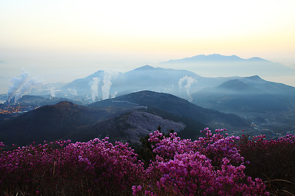 포토 JPG 주간 나무 식물 계절 꽃 봄꽃 공장 자연 산 한국 굴뚝 풍경 사람없음 야외 마을 봄풍경 봄 안개 시골 풀 연기 정상 전라남도 산업시설 철쭉 산업단지 여수 여수산업단지 철쭉제 철쭉축제 국내포토 자연요소 산업 아시아 공업 날씨 축제 전라도 생태계 꽃축제 파일형식