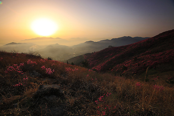 포토 JPG 주간 나무 식물 계절 꽃 봄꽃 공장 자연 하늘 산 한국 굴뚝 풍경 사람없음 야외 건물 태양 마을 일출 노을 일몰 봄풍경 봄 안개 돌_바위 바위 풀 연기 정상 전라남도 산업시설 철쭉 산업단지 여수 여수산업단지 철쭉제 철쭉축제 국내포토 자연요소 건축물 산업 아시아 공업 날씨 축제 전라도 생태계 꽃축제 파일형식