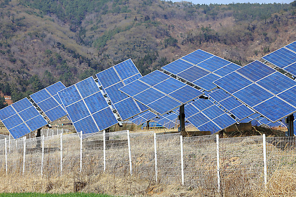 포토 JPG 주간 나무 식물 미래 산 사람없음 야외 태양 환경 여러개 발전기 발전소 에너지 과학기술 풀 그린에너지 태양에너지 철조망 집열판 철망 국내포토 자연요소 다수 컨셉 기술 파일형식