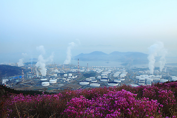 포토 JPG 주간 나무 식물 계절 꽃 바다 봄꽃 공장 공업 자연 산 한국 굴뚝 풍경 사람없음 야외 건물 봄풍경 봄 안개 풀 연기 전라남도 산업시설 탱크 철쭉 저장고 산업단지 여수 공업단지 여수산업단지 원통형 철쭉제 철쭉축제 국내포토 자연요소 도형 건축물 산업 아시아 날씨 축제 전라도 생태계 꽃축제 파일형식