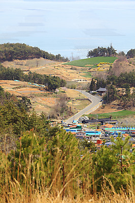 포토 JPG 주간 나무 식물 건축물 도로 길 농업 자연 주택 한국 풍경 사람없음 야외 건물 마을 차도 농촌 시골 풀 경상남도 산길 논밭 매화마을 매화축제 국내포토 자연요소 건축 산업 아시아 밭 교통시설 논 경상도 생태계 광양 꽃축제 파일형식