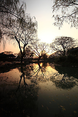 포토 JPG 주간 나무 식물 실루엣 호수 자연 한국 물그림자 그림자 풍경 사람없음 야외 강 반사 일출 일몰 연못 전라북도 광한루 남원 국내포토 자연요소 아시아 촬영기법 노을 전라도 생태계 파일형식