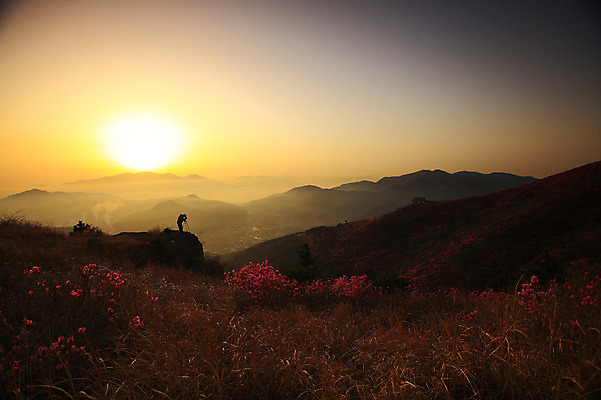 포토 JPG 주간 나무 식물 계절 꽃 실루엣 봄꽃 공장 자연 하늘 산 한국 굴뚝 한명 사람 풍경 야외 건물 태양 마을 일출 노을 일몰 봄풍경 봄 안개 풀 연기 정상 전라남도 산업시설 철쭉 산업단지 여수 여수산업단지 철쭉제 철쭉축제 국내포토 자연요소 1 건축물 산업 아시아 공업 날씨 촬영기법 축제 전라도 생태계 꽃축제 파일형식