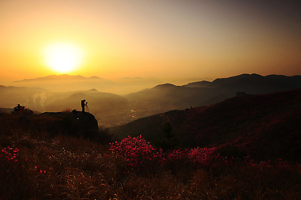 포토 JPG 주간 나무 식물 계절 꽃 실루엣 봄꽃 공장 자연 하늘 산 한국 굴뚝 한명 사람 풍경 야외 건물 태양 마을 일출 노을 일몰 봄풍경 봄 안개 풀 연기 정상 전라남도 산업시설 철쭉 산업단지 여수 여수산업단지 철쭉제 철쭉축제 국내포토 자연요소 1 건축물 산업 아시아 공업 날씨 촬영기법 축제 전라도 생태계 꽃축제 파일형식