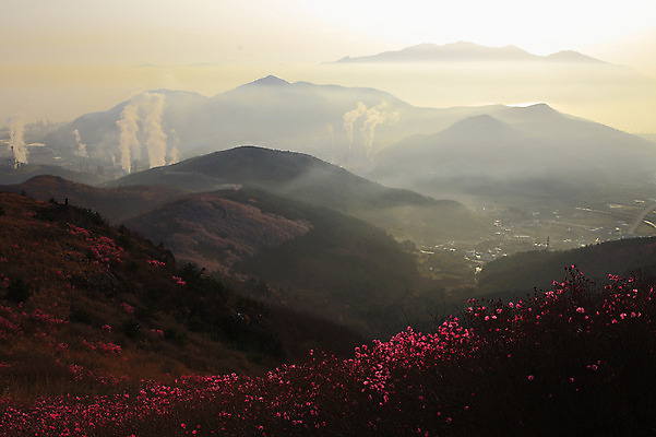 포토 JPG 주간 나무 식물 계절 꽃 봄꽃 공장 자연 하늘 산 한국 굴뚝 풍경 사람없음 야외 건물 태양 마을 봄풍경 봄 안개 풀 연기 정상 전라남도 산업시설 철쭉 산업단지 여수 여수산업단지 국내포토 자연요소 건축물 산업 아시아 공업 날씨 전라도 생태계 파일형식