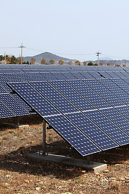 포토 JPG 주간 나무 식물 선 줄 미래 산 그림자 사람없음 야외 태양 환경 여러개 발전기 발전소 에너지 과학기술 전선 돌_바위 조약돌 풀 그린에너지 전봇대 태양에너지 집열판 국내포토 자연요소 공공시설 다수 컨셉 기술 파일형식