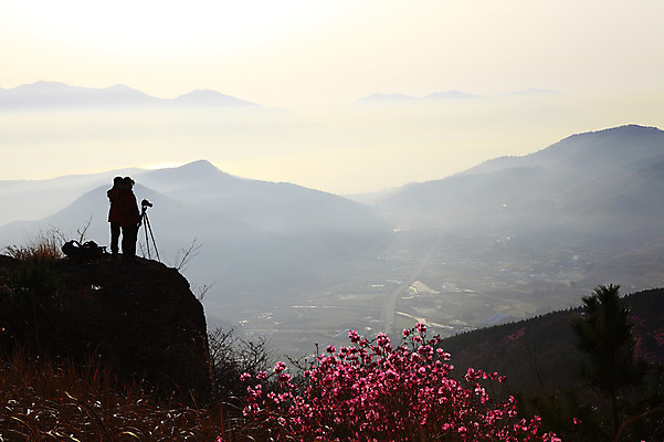 포토 JPG 주간 나무 식물 계절 꽃 실루엣 봄꽃 자연 하늘 산 한국 갈대 사람 풍경 야외 두명 마을 사진촬영 촬영 봄풍경 봄 안개 풀 정상 전라남도 철쭉 삼각대 여수 철쭉제 철쭉축제 국내포토 자연요소 아시아 날씨 촬영기법 축제 전라도 생태계 꽃축제 파일형식