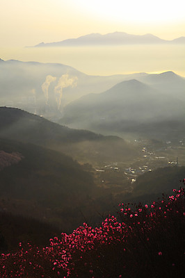 포토 JPG 주간 나무 식물 계절 꽃 봄꽃 공장 자연 하늘 산 한국 굴뚝 풍경 사람없음 야외 건물 태양 마을 봄풍경 봄 안개 풀 연기 정상 전라남도 산업시설 철쭉 산업단지 여수 여수산업단지 철쭉제 철쭉축제 국내포토 자연요소 건축물 산업 아시아 공업 날씨 축제 전라도 생태계 꽃축제 파일형식