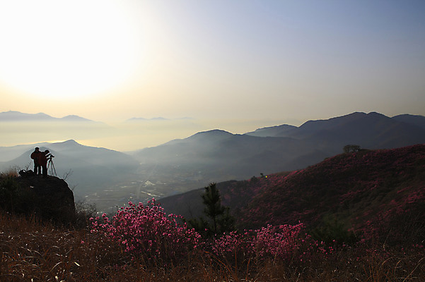 포토 JPG 주간 나무 식물 계절 꽃 실루엣 봄꽃 자연 하늘 산 한국 갈대 사람 풍경 야외 두명 태양 마을 봄풍경 봄 안개 풀 정상 전라남도 철쭉 여수 철쭉제 철쭉축제 국내포토 자연요소 아시아 날씨 촬영기법 축제 전라도 생태계 꽃축제 파일형식