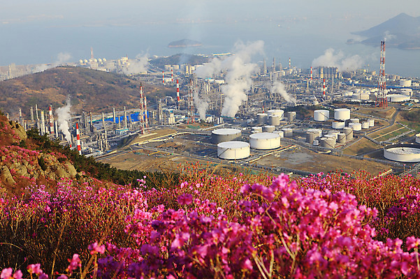 포토 JPG 주간 나무 식물 계절 꽃 바다 봄꽃 공장 공업 자연 산 한국 굴뚝 풍경 사람없음 야외 건물 봄풍경 봄 안개 풀 연기 전라남도 산업시설 탱크 철쭉 저장고 산업단지 여수 공업단지 여수산업단지 원통형 철쭉제 철쭉축제 국내포토 자연요소 도형 건축물 산업 아시아 날씨 축제 전라도 생태계 꽃축제 파일형식
