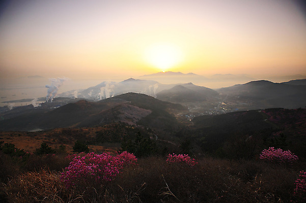 포토 JPG 주간 나무 식물 계절 꽃 봄꽃 공장 자연 하늘 산 한국 굴뚝 풍경 사람없음 야외 건물 태양 마을 일출 노을 일몰 봄풍경 봄 안개 풀 연기 정상 전라남도 산업시설 철쭉 산길 산업단지 여수 여수산업단지 철쭉제 철쭉축제 국내포토 자연요소 건축물 산업 아시아 길 공업 날씨 축제 전라도 생태계 꽃축제 파일형식