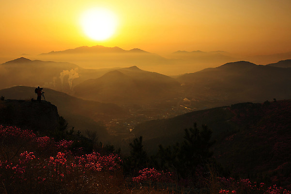 포토 JPG 주간 나무 식물 계절 꽃 실루엣 봄꽃 공장 자연 하늘 산 한국 굴뚝 사람 풍경 야외 두명 건물 태양 마을 일출 노을 일몰 봄풍경 봄 안개 풀 연기 정상 전라남도 산업시설 철쭉 산업단지 여수 여수산업단지 철쭉제 철쭉축제 국내포토 자연요소 건축물 산업 아시아 공업 날씨 촬영기법 축제 전라도 생태계 꽃축제 파일형식