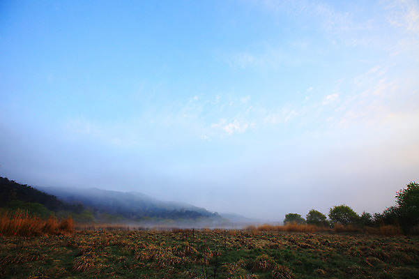 포토 JPG 주간 나무 식물 자연 산 한국 갈대 풍경 초원 사람없음 야외 안개 풀 습지 경상남도 우포늪 창녕 국내포토 자연요소 아시아 날씨 경상도 생태계 파일형식