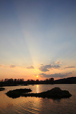 포토 JPG 주간 나무 식물 구름 실루엣 호수 자연 하늘 한국 풍경 사람없음 야외 강 태양 일출 노을 일몰 풀 습지 뭉게구름 경상남도 우포늪 창녕 국내포토 자연요소 아시아 촬영기법 경상도 생태계 파일형식 구름_자연