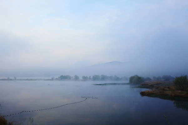 포토 JPG 주간 나무 식물 호수 자연 하늘 한국 풍경 사람없음 야외 강 안개 풀 습지 경상남도 우포늪 창녕 국내포토 자연요소 아시아 날씨 경상도 생태계 파일형식