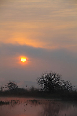 포토 JPG 주간 나무 식물 구름 실루엣 호수 자연 하늘 한국 풍경 사람없음 야외 강 태양 일출 노을 일몰 풀 습지 뭉게구름 경상남도 우포늪 창녕 국내포토 자연요소 아시아 촬영기법 경상도 생태계 파일형식 구름_자연