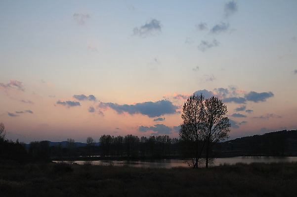 포토 JPG 주간 나무 식물 구름 실루엣 호수 자연 하늘 한국 풍경 초원 사람없음 야외 강 일출 노을 일몰 풀 습지 뭉게구름 경상남도 우포늪 창녕 국내포토 자연요소 아시아 촬영기법 경상도 생태계 파일형식 구름_자연