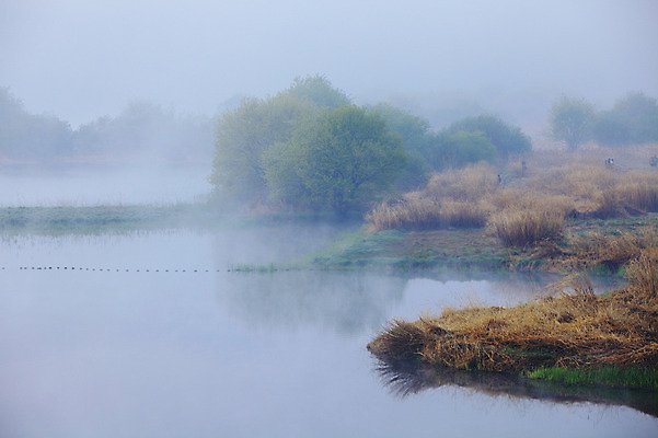 포토 JPG 주간 나무 식물 호수 자연 하늘 한국 풍경 사람없음 야외 강 안개 풀 습지 경상남도 우포늪 창녕 국내포토 자연요소 아시아 날씨 경상도 생태계 파일형식