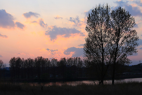 포토 JPG 주간 나무 식물 구름 실루엣 자연 하늘 한국 풍경 초원 사람없음 야외 일출 노을 일몰 풀 습지 뭉게구름 경상남도 우포늪 창녕 국내포토 자연요소 아시아 촬영기법 경상도 생태계 파일형식 구름_자연