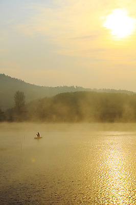 포토 JPG 주간 나무 식물 실루엣 호수 자연 하늘 산 한국 한명 사람 풍경 야외 물 강 태양 일출 노을 침묵 고요 일몰 안개 나룻배 경상남도 뱃사공 노젓기 우포늪 창녕 선박 국내포토 자연요소 1 아시아 수상교통 배_교통 모션 날씨 촬영기법 소리 습지 경상도 생태계 파일형식