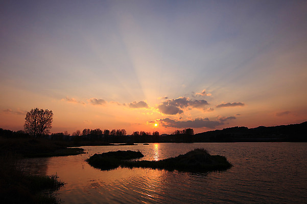 포토 JPG 주간 나무 식물 구름 호수 자연 하늘 한국 풍경 사람없음 야외 강 태양 일출 노을 일몰 풀 습지 뭉게구름 경상남도 우포늪 창녕 국내포토 자연요소 아시아 경상도 생태계 파일형식 구름_자연