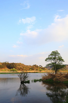 포토 JPG 주간 나무 구름 호수 자연 하늘 산 한국 한그루 풍경 사람없음 야외 강 풀 습지 강가 경상남도 우포늪 창녕 국내포토 자연요소 식물 1 아시아 경상도 생태계 파일형식