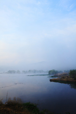 포토 JPG 주간 나무 식물 호수 자연 하늘 한국 풍경 사람없음 야외 강 안개 풀 습지 경상남도 우포늪 창녕 국내포토 자연요소 아시아 날씨 경상도 생태계 파일형식