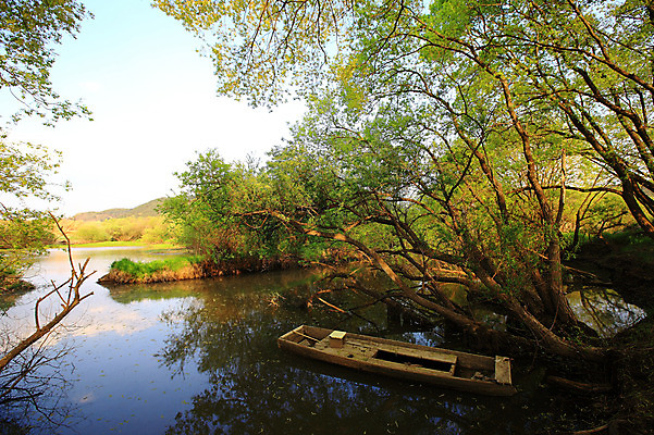 포토 JPG 주간 나무 식물 호수 자연 산 한국 풍경 사람없음 야외 강 습지 숲 나룻배 경상남도 우포늪 창녕 선박 국내포토 자연요소 아시아 수상교통 배_교통 경상도 생태계 파일형식