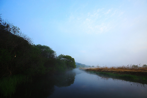 포토 JPG 주간 나무 식물 호수 자연 한국 물그림자 풍경 사람없음 야외 강 안개 풀 습지 강가 경상남도 우포늪 창녕 국내포토 자연요소 아시아 날씨 그림자 경상도 생태계 파일형식