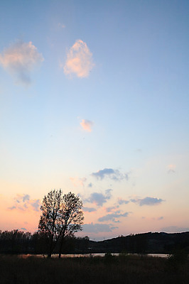 포토 JPG 주간 나무 식물 구름 실루엣 호수 자연 하늘 한국 풍경 초원 사람없음 야외 노을 일몰 습지 뭉게구름 경상남도 우포늪 창녕 국내포토 자연요소 아시아 촬영기법 경상도 생태계 파일형식 구름_자연