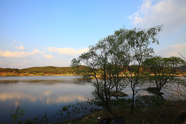 포토 JPG 주간 나무 식물 구름 호수 자연 하늘 산 한국 물그림자 풍경 사람없음 야외 강 풀 습지 경상남도 우포늪 창녕 국내포토 자연요소 아시아 그림자 경상도 생태계 파일형식