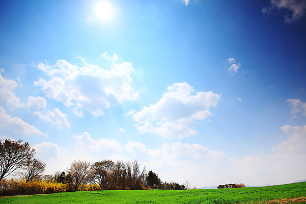 포토 JPG 주간 나무 식물 구름 자연 하늘 한국 풍경 잔디 초원 사람없음 야외 햇빛 태양 목장 풀 뭉게구름 경기도 안성 국내포토 자연요소 아시아 생태계 파일형식 구름_자연