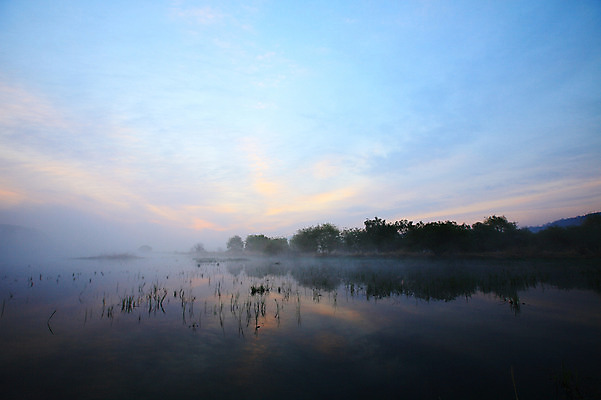 포토 JPG 주간 나무 식물 구름 자연 하늘 한국 풍경 사람없음 야외 노을 일몰 안개 풀 습지 경상남도 우포늪 창녕 국내포토 자연요소 아시아 날씨 경상도 생태계 파일형식