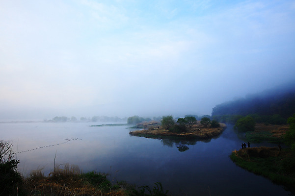 포토 JPG 주간 나무 식물 호수 자연 한국 사람 풍경 야외 세명 강 안개 습지 강가 경상남도 우포늪 창녕 국내포토 자연요소 아시아 날씨 경상도 생태계 파일형식
