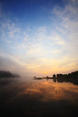 포토 JPG 주간 나무 식물 구름 호수 자연 하늘 한국 풍경 사람없음 야외 강 일출 노을 일몰 풀 습지 경상남도 우포늪 창녕 국내포토 자연요소 아시아 경상도 생태계 파일형식