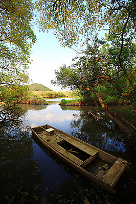 포토 JPG 주간 나무 식물 호수 자연 산 한국 풍경 사람없음 야외 강 습지 숲 나룻배 경상남도 우포늪 창녕 선박 국내포토 자연요소 아시아 수상교통 배_교통 경상도 생태계 파일형식