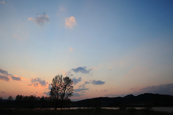 포토 JPG 주간 나무 식물 구름 실루엣 자연 하늘 산 한국 풍경 초원 사람없음 야외 일출 노을 일몰 뭉게구름 경상남도 우포늪 창녕 국내포토 자연요소 아시아 촬영기법 습지 경상도 생태계 파일형식 구름_자연