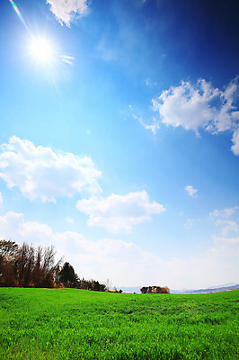 포토 JPG 주간 나무 식물 구름 자연 하늘 한국 풍경 잔디 초원 사람없음 야외 햇빛 태양 목장 풀 뭉게구름 경기도 안성 국내포토 자연요소 아시아 생태계 파일형식 구름_자연