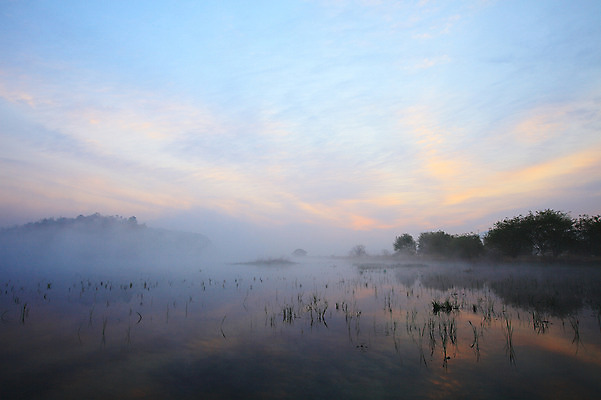 포토 JPG 주간 나무 식물 호수 자연 하늘 산 한국 풍경 사람없음 야외 강 노을 일몰 안개 풀 습지 경상남도 우포늪 창녕 국내포토 자연요소 아시아 날씨 경상도 생태계 파일형식