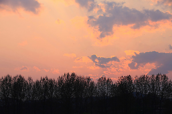 포토 JPG 주간 식물 구름 실루엣 자연 하늘 한국 풍경 초원 사람없음 야외 일출 노을 일몰 풀 뭉게구름 경상남도 우포늪 창녕 국내포토 자연요소 아시아 촬영기법 습지 경상도 생태계 파일형식 구름_자연