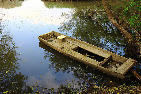 포토 JPG 주간 나무 식물 호수 자연 한국 풍경 사람없음 야외 강 습지 나룻배 경상남도 우포늪 창녕 선박 국내포토 자연요소 아시아 수상교통 배_교통 경상도 생태계 파일형식